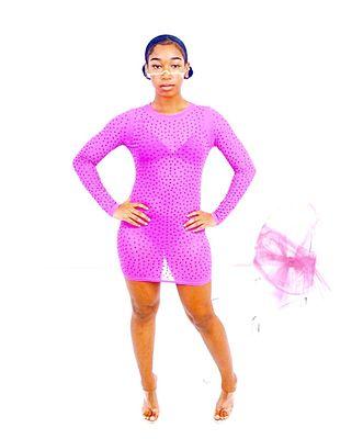 Our pink panther rhinestone sheer dress