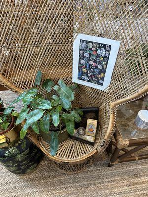 Plants and gifts, home decor