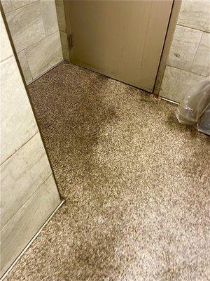 Bathroom floor