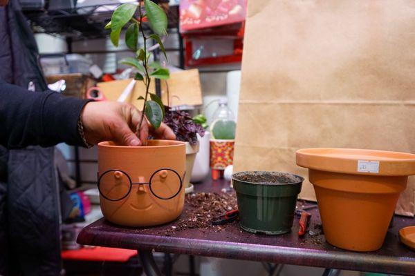 We repot all kinds of plants.