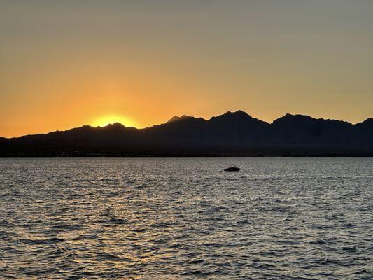 Havasu sunset