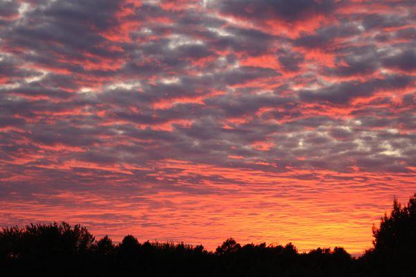 Lakeview Wine Cellars sunset