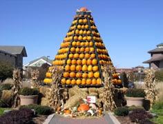 Pumpkin Tree up each October along Deming Way.