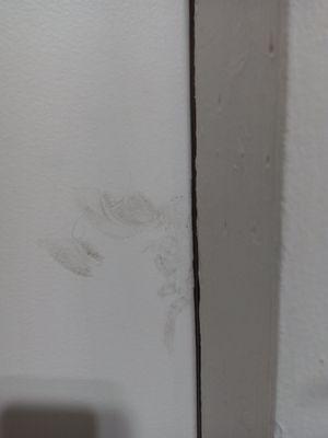 Re:  Front Door   dirty fingerprints