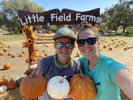 Two pumpkins.