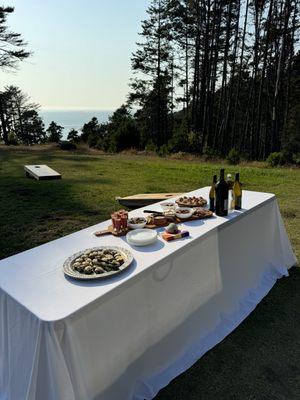 The lovely appetizer spread we enjoyed with some wine.