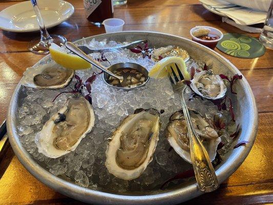 Duxbury oysters