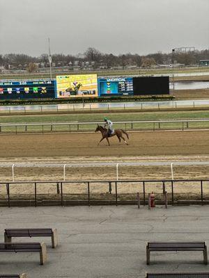 Aqueduct Racetrack