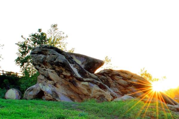 Sycamore Park At sundown