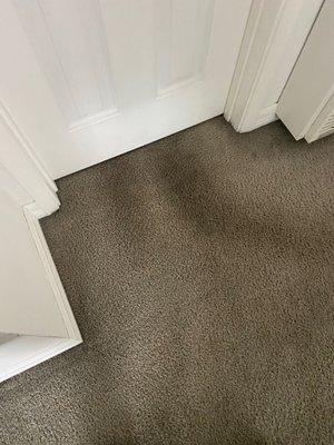 Steamco Carpet Cleaning and Restoration