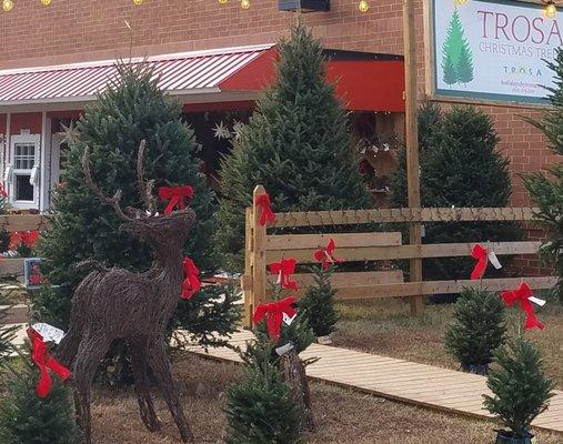 Grapevine reindeer make great additions to the front lawn!