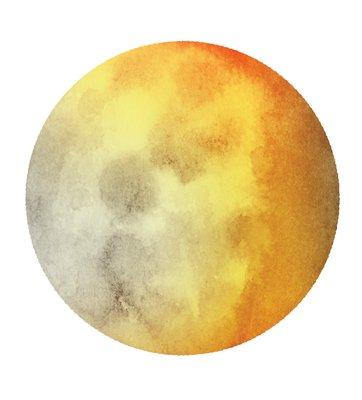 Realtor Moon  For Every Phase of Your Real Estate Adventure