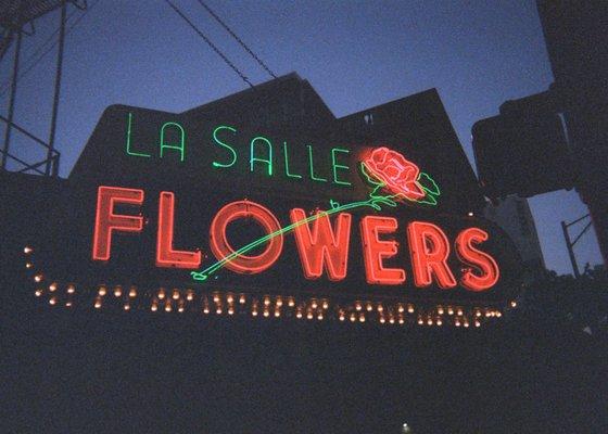 Neon sign at night