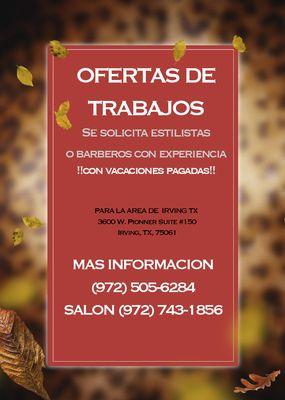 Estilista con experiencia