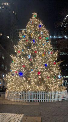 The Christmas Tree at Brooklyn Commons.