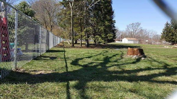 4ft chain link fence