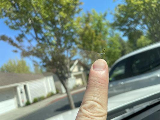 chipped windshield