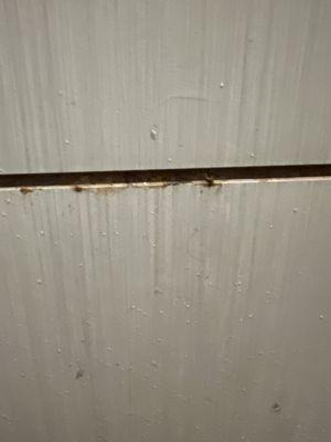 Nasty mold on the wall.