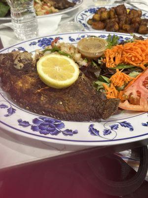 Grilled tilapia with salad