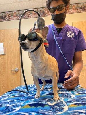 Conducting non-invasive laser therapy during post op care.