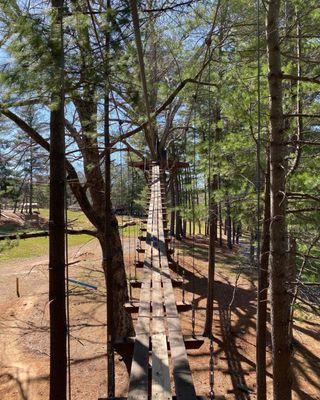 Treetop bridge