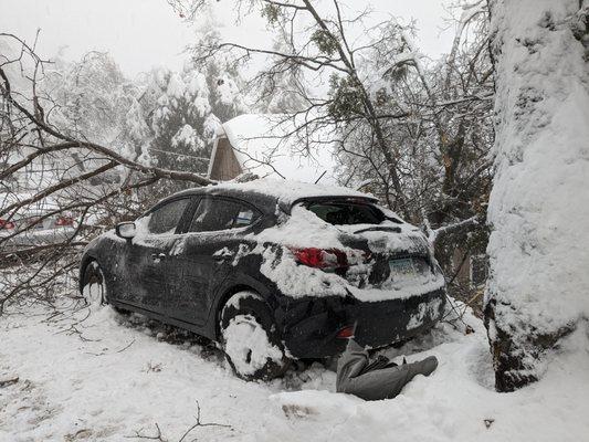 Damage to rear hatch, roof, rear passenger quarter