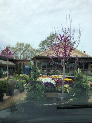 Schmitz Garden Center