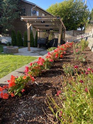 Flowers on the backyard retaining wall