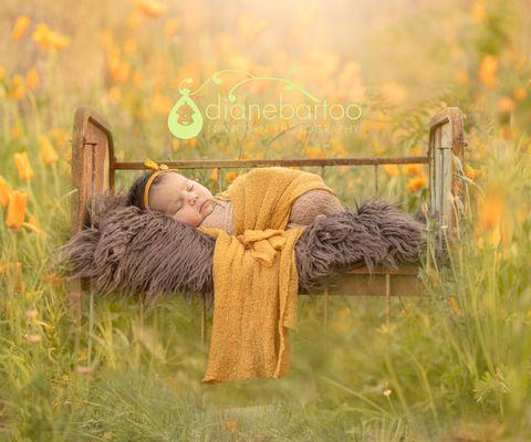 Newborn baby girl in the Spring Poppies at Diane Bartoo Photography's outdoor garden studio.