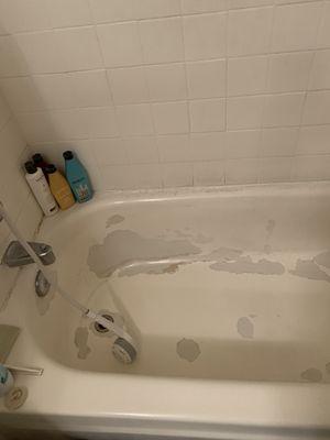 This is what my bathtub looks like. Terrible Property Managers