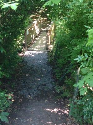 Bridge built by Eagle Scouts.