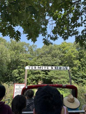 Termite Bridge