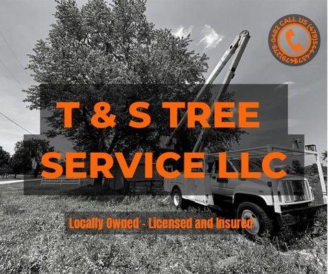 T&S Tree Service LLC