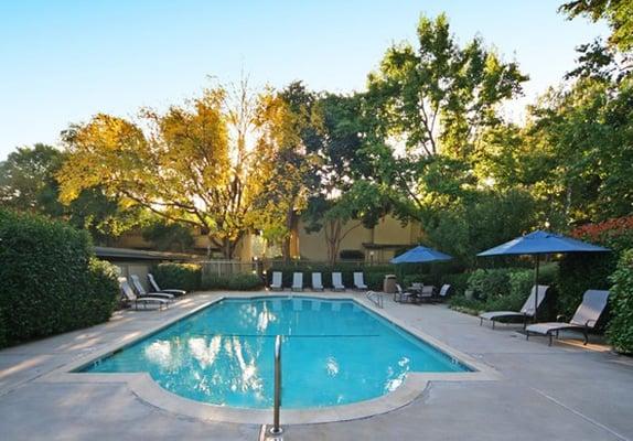 Swimming Pool and Sundeck