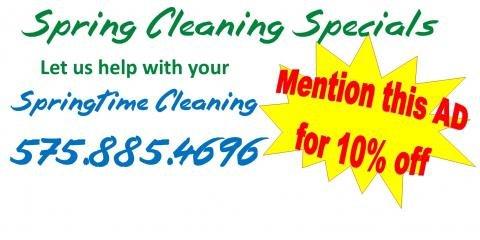 Springtime Cleaning Services