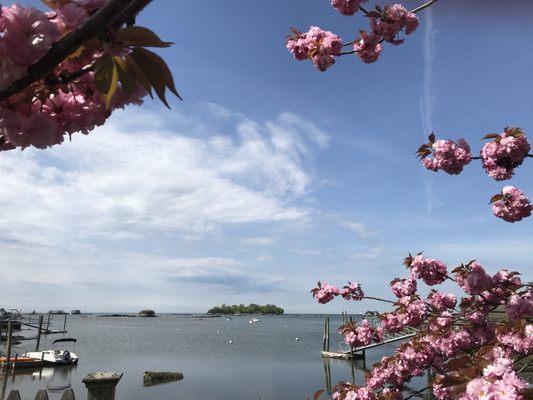 Spring at the Seaside