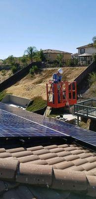 Solar panel cleaning and exclusion of pigeons.