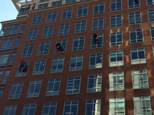 Commercial Window Washing