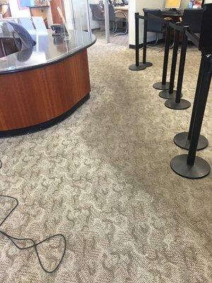 Silver Olas Carpet Tile Flood Cleaning