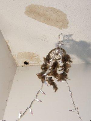 520 Pine Ridge Pl. Molding hole in master bedroom ceiling. Property manager knew for a year and never sent anyone to fix it.