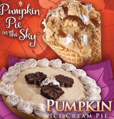 Pumpkin pie and pumpkin ice cream!