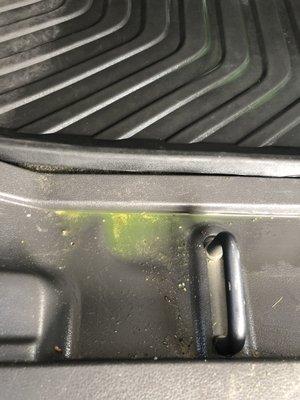 His neon cleaning fluid still in the footwell, plainly visible from standing outside the car.