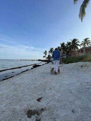 Long walks on the beach with Pebbles and Wilma