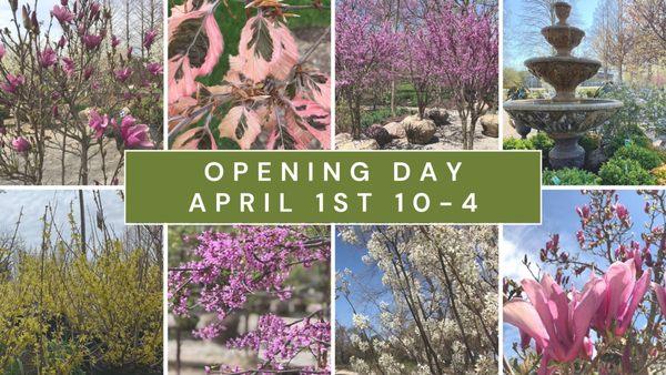 Garden center now open daily 10-4!