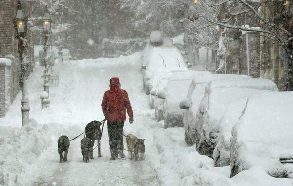 Serious snow hiking on Beacon Hill [January 2011]