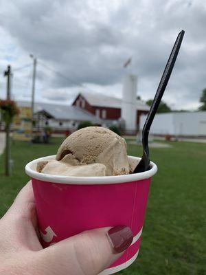 2-scoop ice cream in a cup