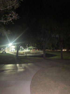 Fox Ridge Park& shadow person