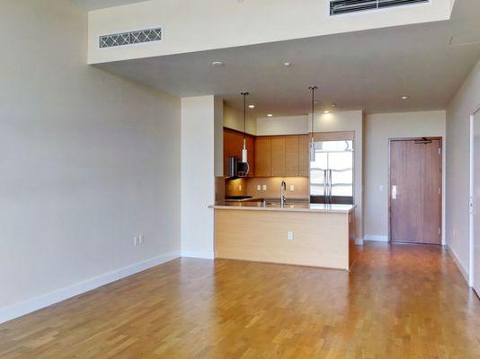 Mission Bay Condo