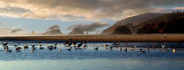 Ecola State Park, Oregon Coast