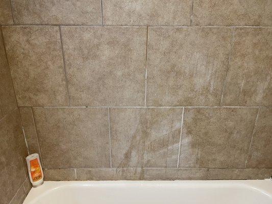 Does this shower wall look clean to you?